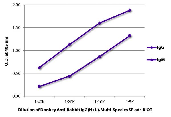 ELISA plate was coated with purified rabbit IgG and IgM.  Immunoglobulins were detected with serially diluted Donkey Anti-Rabbit IgG(H+L), Multi-Species SP ads-BIOT (SB Cat. No. 6442-08) followed by Streptavidin-HRP (SB Cat. No. 7100-05).
