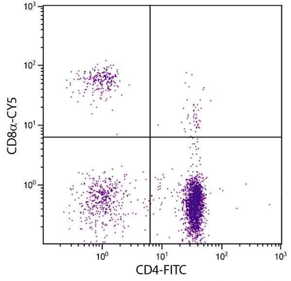 Chicken peripheral blood lymphocytes were stained with Mouse Anti-Chicken CD8α-CY5 (SB Cat. No. 8405-15) and Mouse Anti-Chicken CD4-FITC (SB Cat. No. 8210-02).