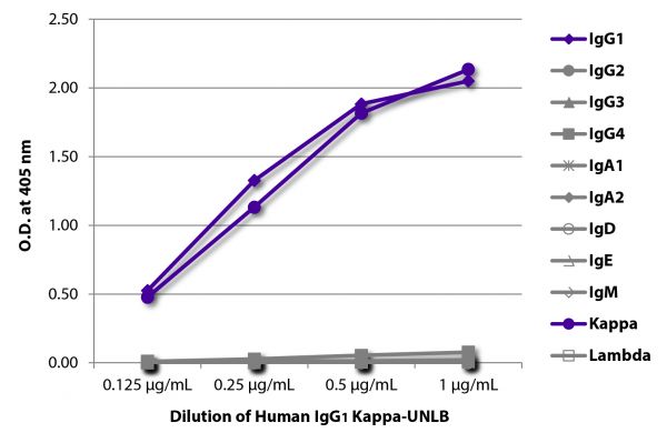 ELISA plate was coated with serially diluted Human IgG<sub>1</sub> Kappa-UNLB (SB Cat. No. 0151K-01).  Immunoglobulin was detected with Mouse Anti-Human IgG<sub>1</sub> Hinge-BIOT (SB Cat. No. 9052-08), Mouse Anti-Human IgG<sub>2</sub> Fc-BIOT (SB Cat. No. 9060-08), Mouse Anti-Human IgG<sub>3</sub> Hinge-BIOT (SB Cat. No. 9210-08), Mouse Anti-Human IgG<sub>4</sub> pFc'-BIOT (SB Cat. No. 9190-08), Mouse Anti-Human IgA<sub>1</sub>-BIOT (SB Cat. No. 9130-08), Mouse Anti-Human IgA<sub>2</sub>-BIOT (SB Cat. No. 9140-08),  Mouse Anti-Human IgD-BIOT (SB Cat. No. 9030-08), Mouse Anti-Human IgE Fc-BIOT (SB Cat. No. 9160-08), Mouse Anti-Human IgM-BIOT (SB Cat. No. 9020-08), Mouse Anti-Human Kappa-BIOT (SB Cat. No. 9230-08), and Mouse Anti-Human Lambda-BIOT (SB Cat. No. 9180-08) followed by Streptavidin-HRP (SB Cat. No. 7100-05) and quantified.