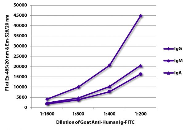FLISA plate was coated with purified human IgG, IgM, and IgA.  Immunoglobulins were detected with serially diluted Goat Anti-Human Ig-FITC (SB Cat. No. 2010-02).
