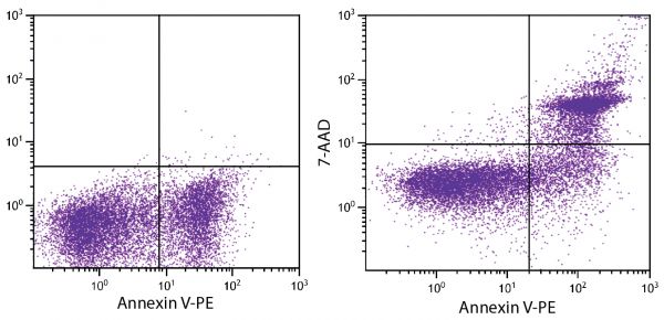 Day old BALB/c mouse splenocytes were stained with ApoScreen<sup>®</sup> Annexin V Apoptosis Kit-PE (SB Cat. No. 10010-09).