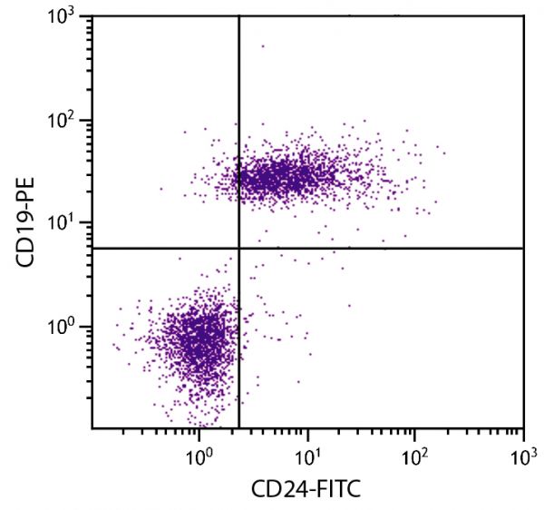 C57BL/6 mouse splenocytes were stained with Rat Anti-Mouse CD24-FITC (SB Cat. No. 1815-02S) and Rat Anti-Mouse CD19-PE (SB Cat. No. 1575-09).