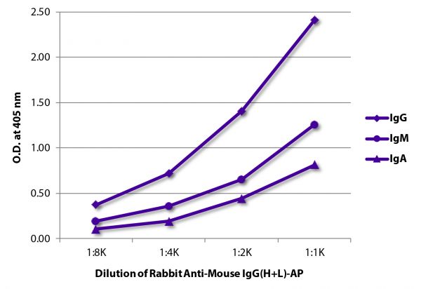 ELISA plate was coated with purified mouse IgG, IgM, and IgA.  Immunoglobulins were detected with Rabbit Anti-Mouse IgG(H+L)-AP (SB Cat. No. 6170-04).