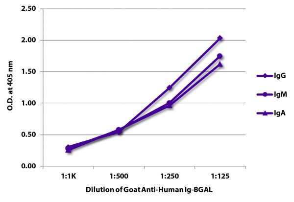 ELISA plate was coated with purified human IgG, IgM, and IgA.  Immunoglobulins were detected with serially diluted Goat Anti-Human Ig-BGAL (SB Cat. No. 2010-06).