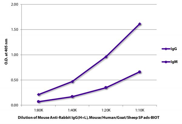 ELISA plate was coated with purified rabbit IgG and IgM.  Immunoglobulins were detected with serially diluted Mouse Anti-Rabbit IgG(H+L), Mouse/Human/Goat/Sheep SP ads-BIOT (SB Cat. No. 4091-08) followed by Streptavidin-HRP (SB Cat. No. 7100-05).