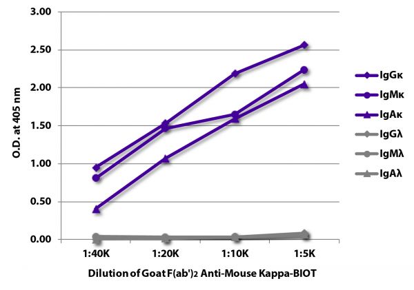 ELISA plate was coated with purified mouse IgGκ, IgMκ, IgAκ, IgGλ, IgMλ, and IgAλ. Immunoglobulins were detected with serially diluted Goat F(ab')<sub>2</sub> Anti-Mouse Kappa-BIOT (SB Cat. No. 1052-08) followed by Streptavidin-HRP (SB Cat. No. 7100-05).
