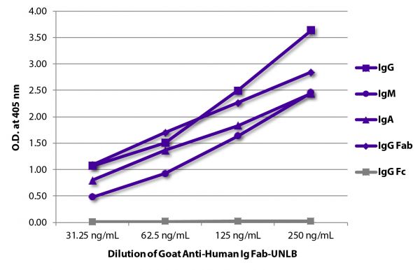 ELISA plate was coated with purified human IgG, IgM, IgA, IgG Fab, and IgG Fc.  Immunoglobulins were detected with serially diluted Goat Anti-Human Ig Fab-UNLB (SB Cat. No. 2085-01) followed by Mouse Anti-Goat IgG Fc-HRP (SB Cat. No. 6158-05).