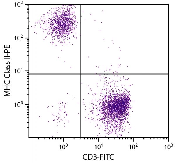 Chicken peripheral blood lymphocytes were stained with Mouse Anti-Chicken MHC Class II-PE (SB Cat. No. 8350-09) and Mouse Anti-Chicken CD3-FITC (SB Cat. No. 8200-02).