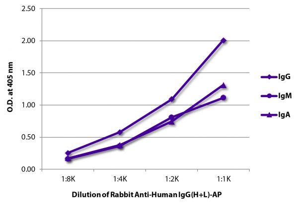 ELISA plate was coated with purified human IgG, IgM, and IgA.  Immunoglobulins were detected with Rabbit Anti-Human IgG(H+L)-AP (SB Cat. No. 6140-04).