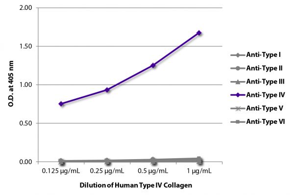 ELISA plate was coated with serially diluted Human Type IV Collagen (SB Cat. No. 1250-01S).  Purified collagen was detected with Goat Anti-Type I Collagen-BIOT (SB Cat. No. 1310-08), Goat Anti-Type II Collagen-BIOT (SB Cat. No. 1320-08), Goat Anti-Type III Collagen-BIOT (SB Cat. No. 1330-08), Goat Anti-Type IV Collagen-BIOT (SB Cat. No. 1340-08), Goat Anti-Type V Collagen-BIOT (SB Cat. No. 1350-08), and Goat Anti-Type VI Collagen-BIOT (SB Cat. No. 1360-08) followed by Streptavidin-HRP (SB Cat. No. 7100-05).