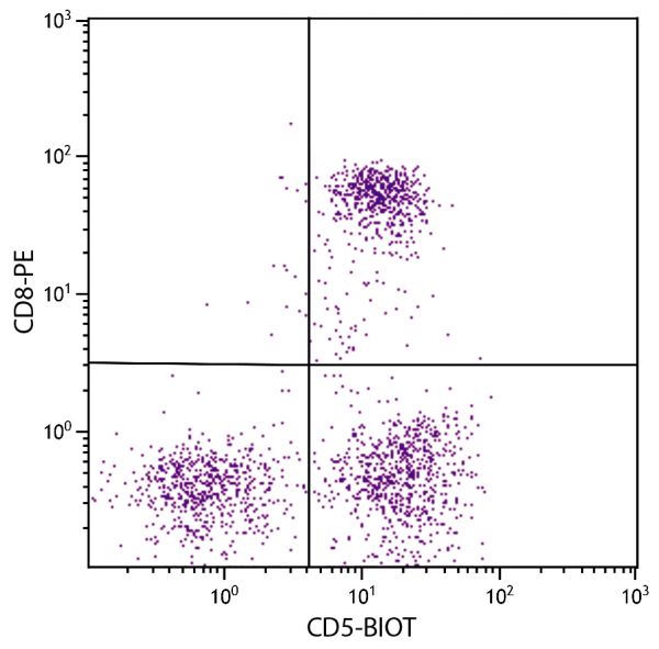 Feline peripheral blood lymphocytes were stained with Mouse Anti-Feline CD5-BIOT (SB Cat. No. 8100-08) and Mouse Anti-Feline CD8-PE (SB Cat. No. 8120-09) followed by Streptavidin-FITC (SB Cat. No. 7100-02).