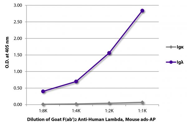 ELISA plate was coated with purified human IgGκ, IgMκ, IgAκ, IgGλ, IgMλ, and IgAλ. Immunoglobulins were detected with serially diluted Goat F(ab')<sub>2</sub> Anti-Human Lambda, Mouse ads-AP (SB Cat. No. 2073-04).