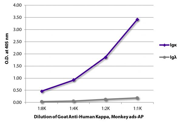 ELISA plate was coated with purified human IgGκ, IgMκ, IgAκ, IgGλ, IgMλ, and IgAλ.  Immunoglobulins were detected with serially diluted Goat Anti-Human Kappa, Monkey ads-AP (SB Cat. No. 2064-04).