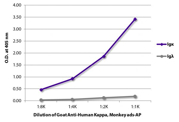 ELISA plate was coated with purified human IgGκ, IgMκ, IgAκ, IgGλ, IgMλ, and IgAλ. Immunoglobulins were detected with serially diluted Goat Anti-Human Kappa, Monkey ads-AP (SB Cat. No. 2064-04).