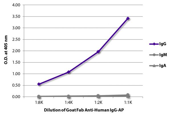 ELISA plate was coated with purified human IgG, IgM, and IgA. Immunoglobulins were detected with serially diluted Goat Fab Anti-Human IgG-AP (SB Cat. No. 2041-04).