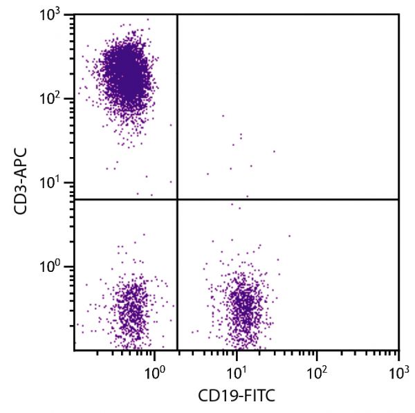 Human peripheral blood lymphocytes were stained with Mouse Anti-Human CD3-APC (SB Cat. No. 9515-11S) and Mouse Anti-Human CD19-FITC (SB Cat. No. 9340-02).