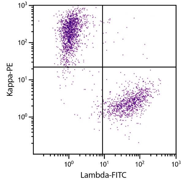 CD19+ human B-lymphocytes were stained with Goat F(ab')<sub>2</sub> Anti-Human Kappa-PE (SB Cat. 2062-09) and Goat F(ab')<sub>2</sub> Anti-Human Lambda, Mouse ads-FITC (SB Cat. No. 2073-02).
