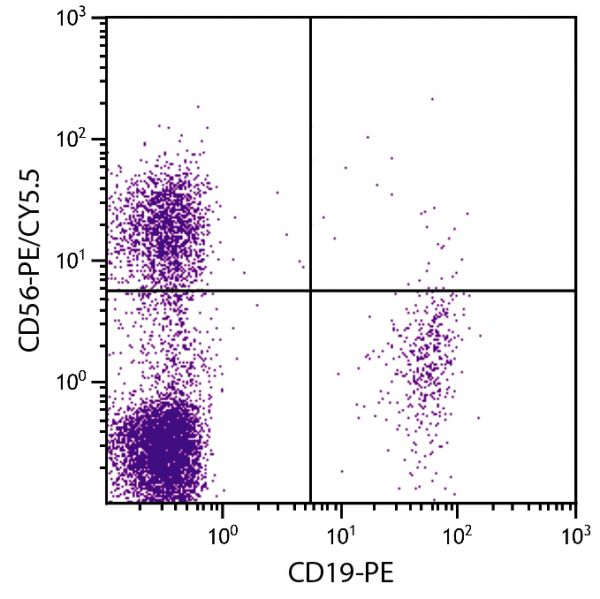 Human peripheral blood lymphocytes were stained with Mouse Anti-Human CD56-PE/CY5.5 (SB Cat. No. 9456-16) and Mouse Anti-Human CD19-PE (SB Cat. No. 9340-09).