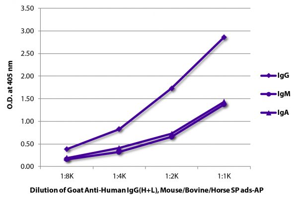 ELISA plate was coated with purified human IgG, IgM, and IgA. Immunoglobulins were detected with serially diluted Goat Anti-Human IgG(H+L), Mouse/Bovine/Horse SP ads-AP (SB Cat. No. 2016-04).