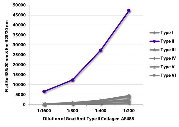 FLISA plate was coated with purified type I, II, III, IV, V, and VI collagen standards. Collagen was detected with serially diluted Goat Anti-Type II Collagen-AF488 (SB Cat. No. 1320-30).