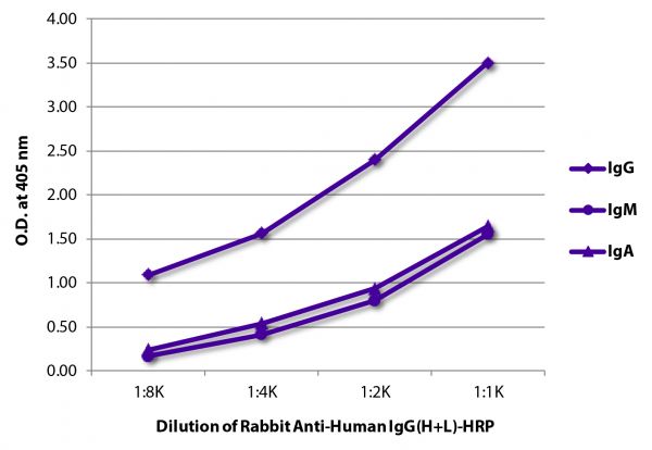 ELISA plate was coated with purified human IgG, IgM, and IgA.  Immunoglobulins were detected with Rabbit Anti-Human IgG(H+L)-HRP (SB Cat. No. 6140-05).