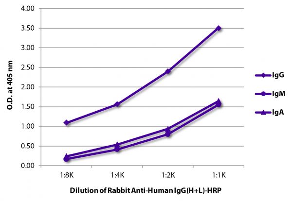 ELISA plate was coated with purified human IgG, IgM, and IgA. Immunoglobulins were detected with Rabbit Anti-Human IgG(H+L)-HRP (SB Cat. No. 6140-05).