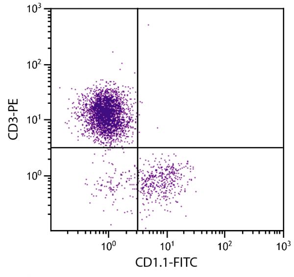 Chicken peripheral blood lymphocytes were stained with Mouse Anti-Chicken CD1.1-FITC (SB Cat. No. 8430-02) and Mouse Anti-Chicken CD3-PE (SB Cat. No. 8200-09).