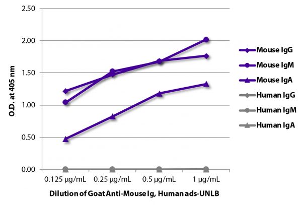 ELISA plate was coated with purified mouse IgG, IgM, and IgA and human IgG, IgM, and IgA.  Immunoglobulins were detected with serially diluted Goat Anti-Mouse Ig, Human ads-UNLB (SB Cat. No. 1010-01) followed by Mouse Anti-Goat IgG Fc-HRP (SB Cat. No. 6158-05).