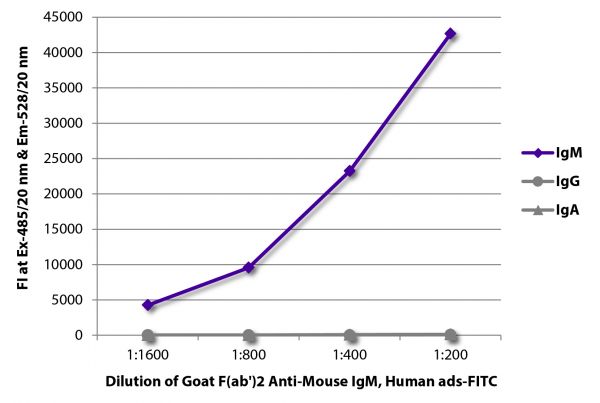 FLISA plate was coated with purified mouse IgM, IgG, and IgA. Immunoglobulins were detected with serially diluted Goat F(ab')<sub>2</sub> Anti-Mouse IgM, Human ads-FITC (SB Cat. No. 1022-02).