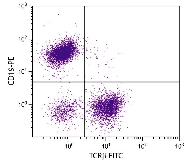 BALB/c mouse splenocytes were stained with Hamster Anti-Mouse TCRβ-FITC (SB Cat. No. 1785-02S) and Rat Anti-Mouse CD19-PE (SB Cat. No. 1575-09).