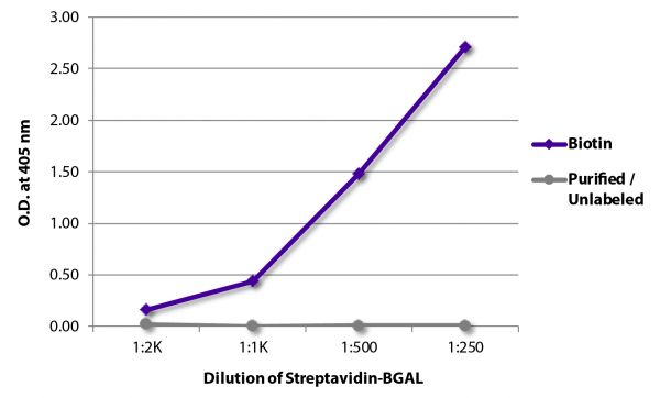 ELISA plate was coated with Goat Anti-Human IgG-BIOT (SB Cat. No. 2040-08) and purified/unlabeled Rat IgG<sub>1</sub>κ. Biotin conjugated antibody and purified immunoglobulin were detected with serially diluted Streptavidin-BGAL (SB Cat. No. 7105-06).