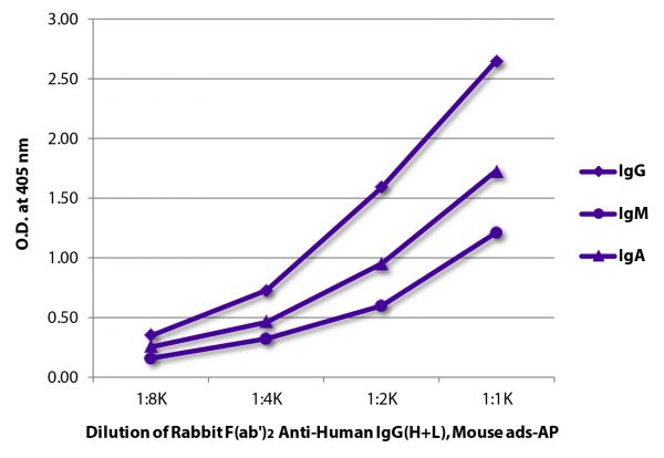 ELISA plate was coated with purified human IgG, IgM, and IgA. Immunoglobulins were detected with Rabbit F(ab')<sub>2</sub> Anti-Human IgG(H+L), Mouse ads-AP (SB Cat. No. 6005-04).
