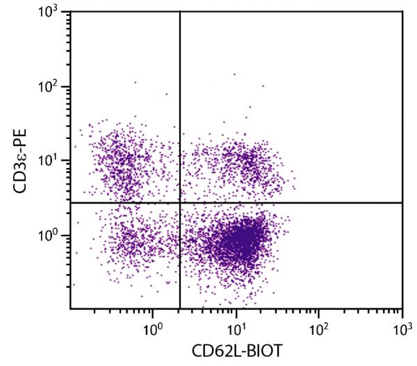 BALB/c mouse splenocytes were stained with Rat Anti-Mouse CD62L-BIOT (SB Cat. No. 1705-08) and Rat Anti-Mouse CD3ε-PE (SB Cat. No. 1535-09) followed by Streptavidin-FITC (SB Cat. No. 7100-02).