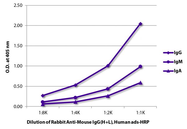 ELISA plate was coated with purified mouse IgG, IgM, and IgA.  Immunoglobulins were detected with Rabbit Anti-Mouse IgG(H+L), Human ads-HRP (SB Cat. No. 6175-05).