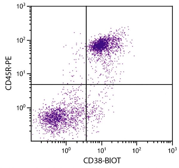 BALB/c mouse splenocytes were stained with Rat Anti-Mouse CD38-BIOT (SB Cat. No. 1635-08) and Rat Anti-Mouse CD45R-PE (SB Cat. No. 1665-09) followed by Streptavidin-FITC (SB Cat. No. 7100-02).