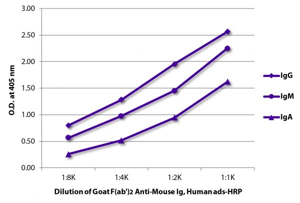 ELISA plate was coated with purified mouse IgG, IgM, and IgA. Immunoglobulins were detected with serially diluted Goat F(ab')<sub>2</sub> Anti-Mouse Ig, Human ads-HRP (SB Cat. No. 1012-05).