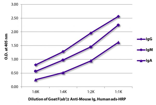 ELISA plate was coated with purified mouse IgG, IgM, and IgA.  Immunoglobulins were detected with serially diluted Goat F(ab')<sub>2</sub> Anti-Mouse Ig, Human ads-HRP (SB Cat. No. 1012-05).