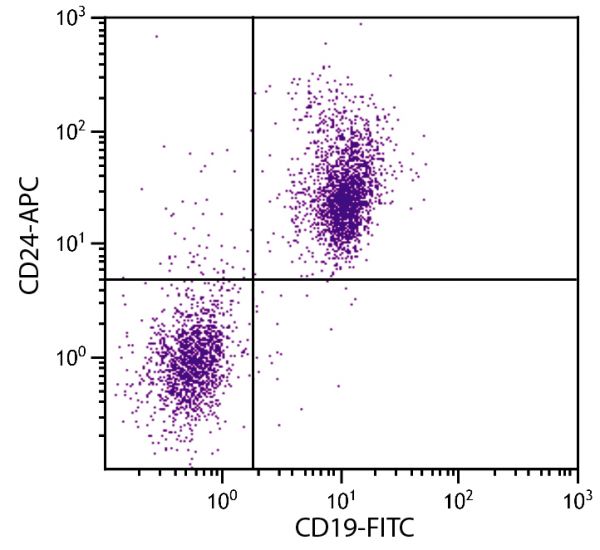 C57BL/6 mouse splenocytes were stained with Rat Anti-Mouse CD24-APC (SB Cat. No. 1815-11) and Rat Anti-Mouse CD19-FITC (SB Cat. No. 1575-02).