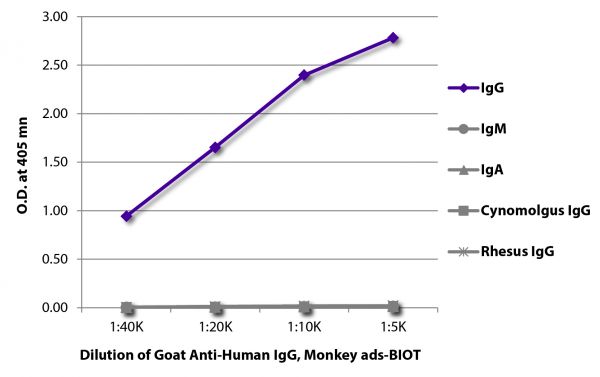 ELISA plate was coated with purified human IgG, IgM, and IgA, cynomolgus IgG, and rhesus IgG. Immunoglobulins were detected with serially diluted Goat Anti-Human IgG, Monkey ads-BIOT (SB Cat. No. 2049-08) followed by Streptavidin-HRP (SB Cat. No. 7100-05).