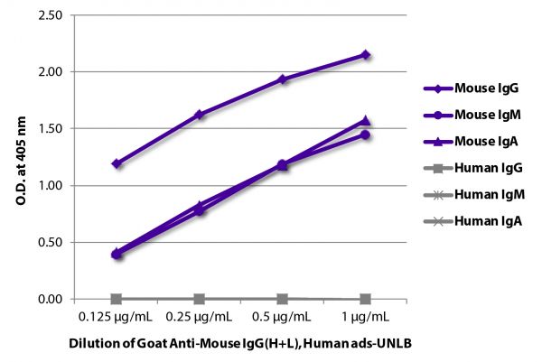 ELISA plate was coated with purified mouse IgG, IgM, and IgA and human IgG, IgM, and IgA. Immunoglobulins were detected with serially diluted Goat Anti-Mouse IgG(H+L), Human ads-UNLB (SB Cat. No. 1031-01) followed by Mouse Anti-Goat IgG Fc-HRP (SB Cat. No. 6158-05).