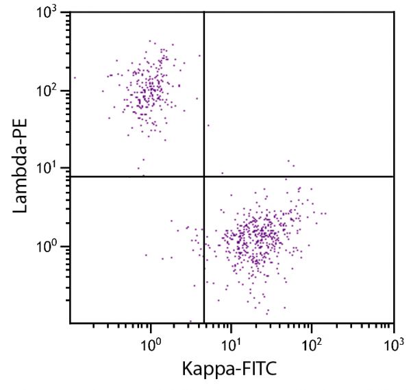 CD19+ human B-lymphocytes were stained with Goat Anti-Human Lambda-PE (SB Cat. 2070-09) and Goat F(ab')<sub>2</sub> Anti-Human Kappa-FITC (SB Cat. No. 2062-02).