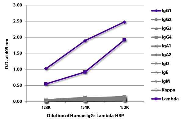ELISA plate was coated with Mouse Anti-Human IgG<sub>1</sub> Hinge-UNLB (SB Cat. No. 9052-01), Mouse Anti-Human IgG<sub>2</sub> Fc-UNLB (SB Cat. No. 9060-01), Mouse Anti-Human IgG<sub>3</sub> Hinge-UNLB (SB Cat. No. 9210-01), Mouse Anti-Human IgG<sub>4</sub> pFc'-UNLB (SB Cat. No. 9190-01), Mouse Anti-Human IgA<sub>1</sub>-BIOT (SB Cat. No. 9130-01), Mouse Anti-Human IgA<sub>2</sub>-UNLB (SB Cat. No. 9140-01),  Mouse Anti-Human IgD-UNLB (SB Cat. No. 9030-01), Mouse Anti-Human IgE Fc-UNLB (SB Cat. No. 9160-01), Mouse Anti-Human IgM-UNLB (SB Cat. No. 9020-01), Mouse Anti-Human Kappa-UNLB (SB Cat. No. 9230-01), and Mouse Anti-Human Lambda-UNLB (SB Cat. No. 9180-01).  Serially diluted Human IgG<sub>1</sub> Lambda-HRP (SB Cat. No. 0151L-05) was captured and quantified.