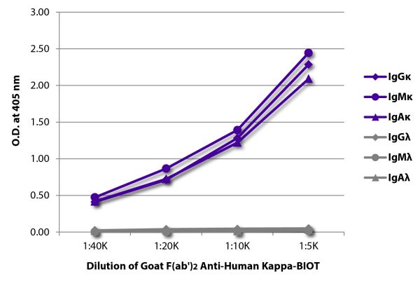 ELISA plate was coated with purified human IgGκ, IgMκ, IgAκ, IgGλ, IgMλ, and IgAλ. Immunoglobulins were detected with serially diluted Goat F(ab')<sub>2</sub> Anti-Human Kappa-BIOT (SB Cat. No. 2062-08) followed by Streptavidin-HRP (SB Cat. No. 7100-05).
