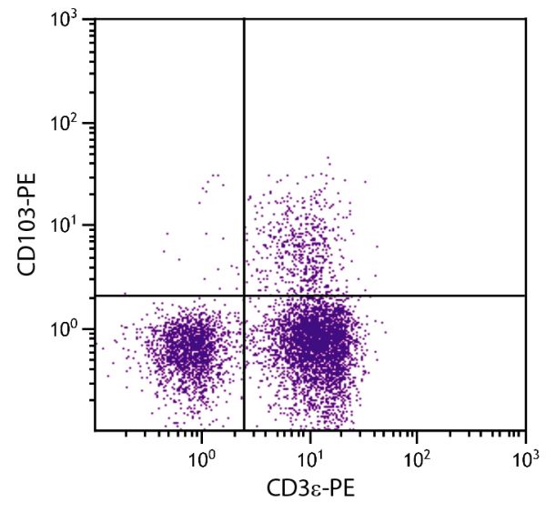 BALB/c mouse mesenteric lymph node cells were stained with Hamster Anti-Mouse CD103-PE (SB Cat. No. 1810-09) and Rat Anti-Mouse CD3ε-FITC (SB Cat. No. 1535-02).