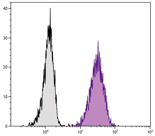 Human histiocytic lymphoma cell line U-937 was stained with Mouse Anti-Human CD105-APC (SB Cat. No. 9811-11).