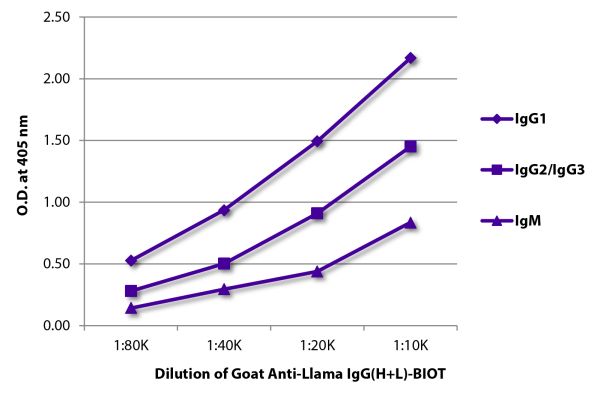 ELISA plate was coated with purified llama IgG<sub>1</sub>, IgG<sub>2</sub>/IgG<sub>3</sub>, and IgM. Immunoglobulins were detected with Goat Anti-Llama IgG(H+L)-BIOT (SB Cat. No. 6045-08) followed by Streptavidin-HRP (SB Cat. No. 7105-05).