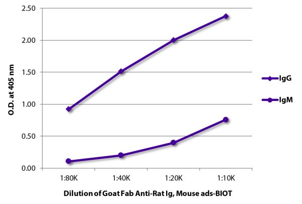 ELISA plate was coated with purified rat IgG and IgM. Immunoglobulins were detected with serially diluted Goat Fab Anti-Rat Ig, Mouse ads-BIOT (SB Cat. No. 3000-08) followed by Streptavidin-HRP (SB Cat. No. 7100-05).