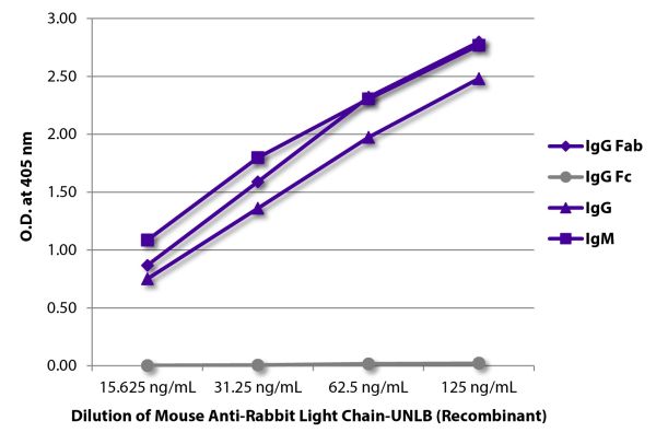 ELISA plate was coated with purified rabbit IgG Fab, IgG Fc, IgG, and IgM.  Immunoglobulins were detected with serially diluted Mouse Anti-Rabbit Light Chain-UNLB (Recombinant) (SB Cat. No. 24060-01) followed by Goat Anti-Mouse IgG<sub>2b</sub>, Human ads-HRP (SB Cat. No. 1090-05).