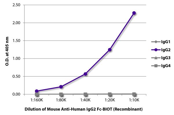 ELISA plate was coated with purified human IgG<sub>1</sub>, IgG<sub>2</sub>, IgG<sub>3</sub>, and IgG<sub>4</sub>.  Immunoglobulins were detected with serially diluted Mouse Anti-Human IgG<sub>2</sub> Fc-BIOT (Recombinant) (SB Cat. No. 29060-08) followed by Streptavidin-HRP (SB Cat. No. 7105-05).