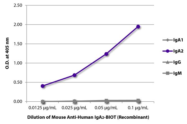 ELISA plate was coated with purified human IgG, IgM, IgA<sub>1</sub>, and IgA<sub>2</sub>. Immunoglobulins were detected with serially diluted Mouse Anti-Human IgA<sub>2</sub>-BIOT (Recombinant) - (SB Cat. No. 29140-08) followed by Streptavidin-HRP (SB Cat. No. 7105-05).